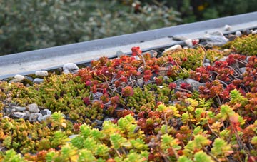 the cost of Budds Titson green roof installation