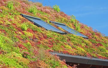 Budds Titson living roof systems