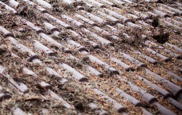 Budds Titson roof cleaning companies