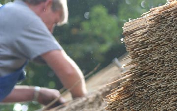 professional Budds Titson thatchers